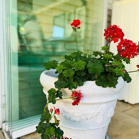 лятна къща Holiday home *